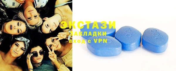 ECSTASY Бородино